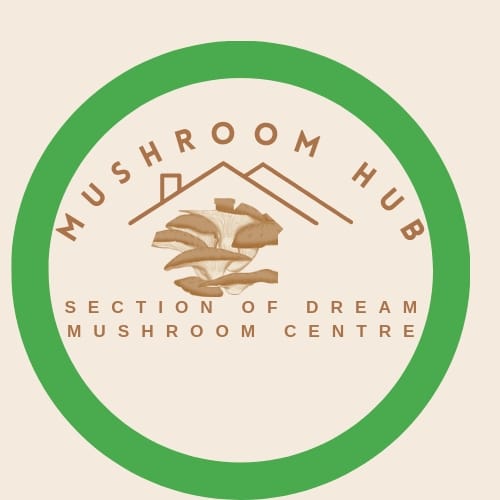 Mushroom Hub