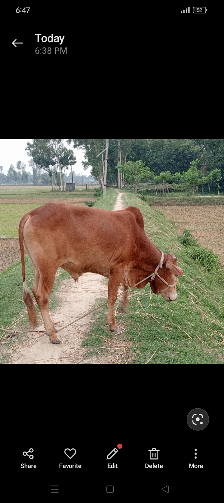 সীমা দুগ্ধ এবং গরুর খামার